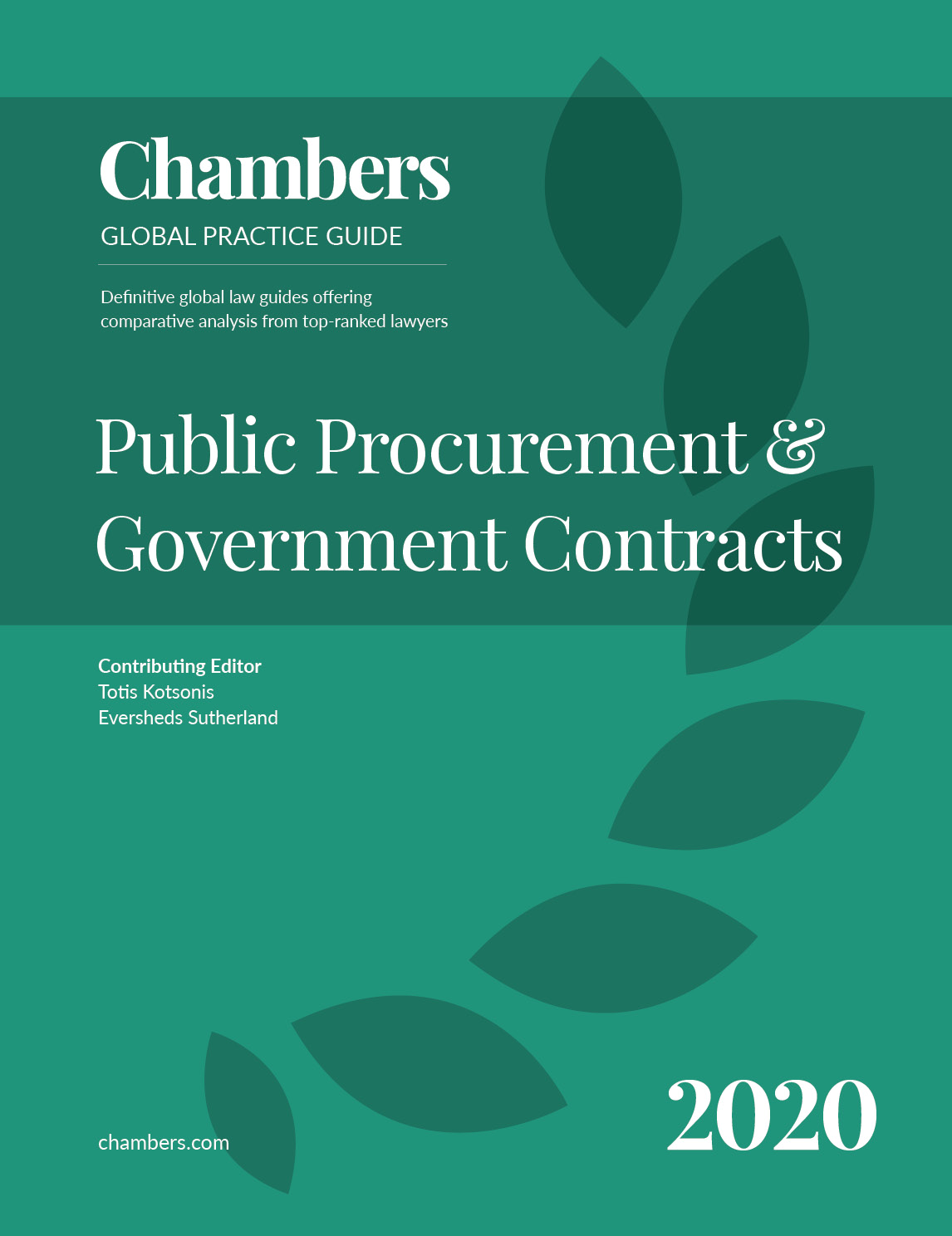 public-procurement-government-contracts-2020-global-practice-guides